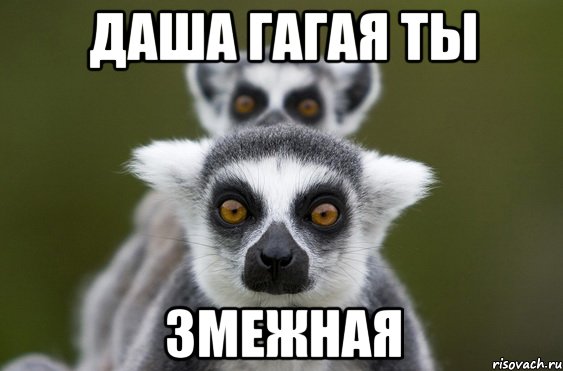 даша гагая ты змежная