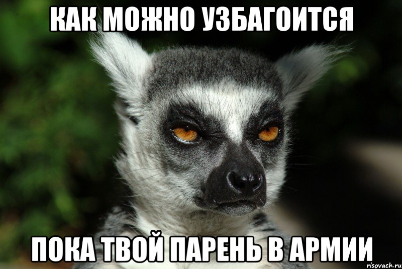 как можно узбагоится пока твой парень в армии, Мем   Я збагоен