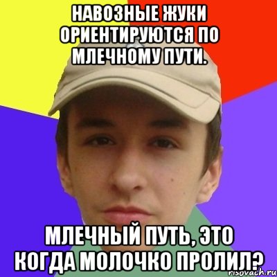 навозные жуки ориентируются по млечному пути. млечный путь, это когда молочко пролил?