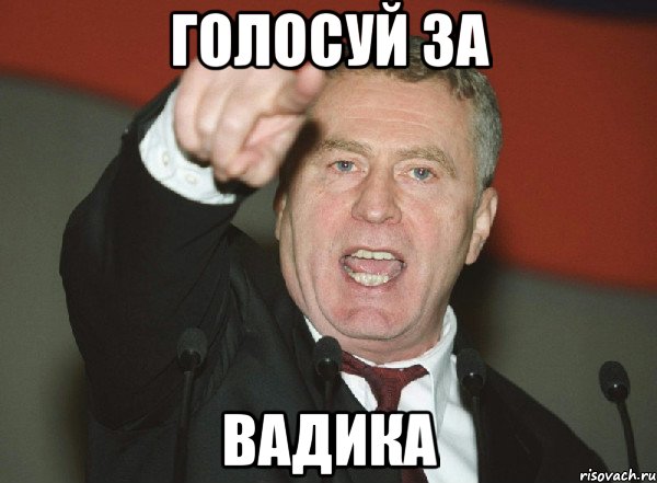 голосуй за вадика