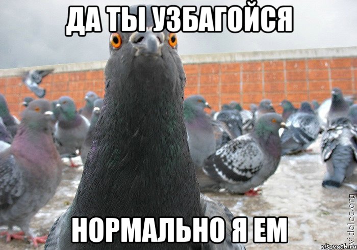 да ты узбагойся нормально я ем