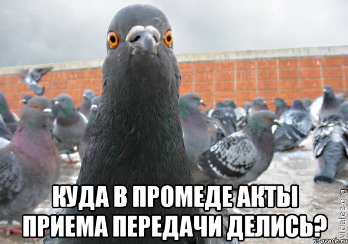  куда в промеде акты приема передачи делись?