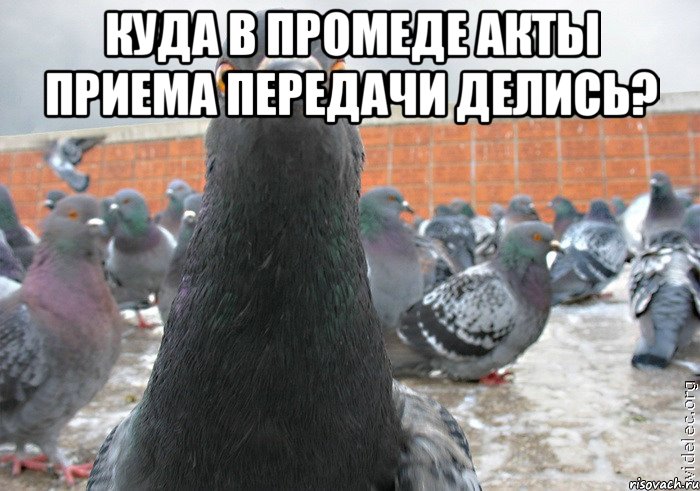 куда в промеде акты приема передачи делись? 