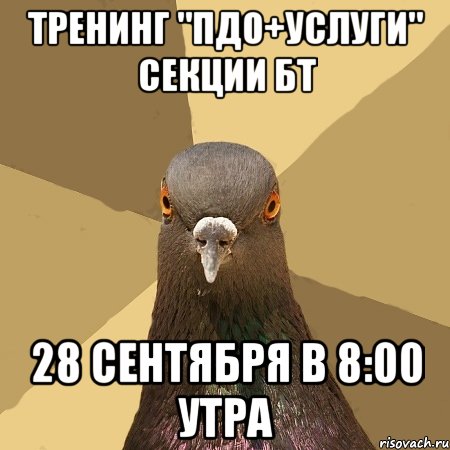 тренинг "пдо+услуги" секции бт 28 сентября в 8:00 утра, Мем голубь