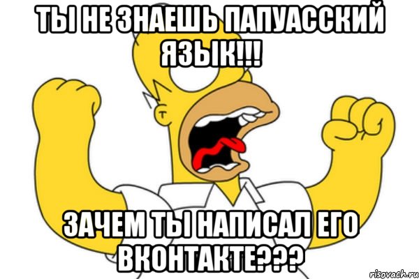 ты не знаешь папуасский язык!!! зачем ты написал его вконтакте???, Мем Разъяренный Гомер