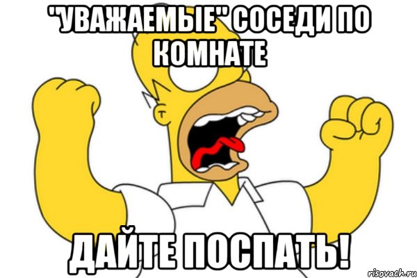 "уважаемые" соседи по комнате дайте поспать!, Мем Разъяренный Гомер