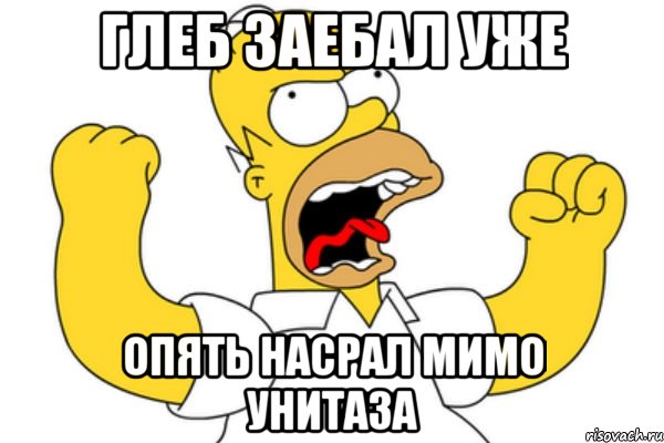 глеб заебал уже опять насрал мимо унитаза, Мем Разъяренный Гомер