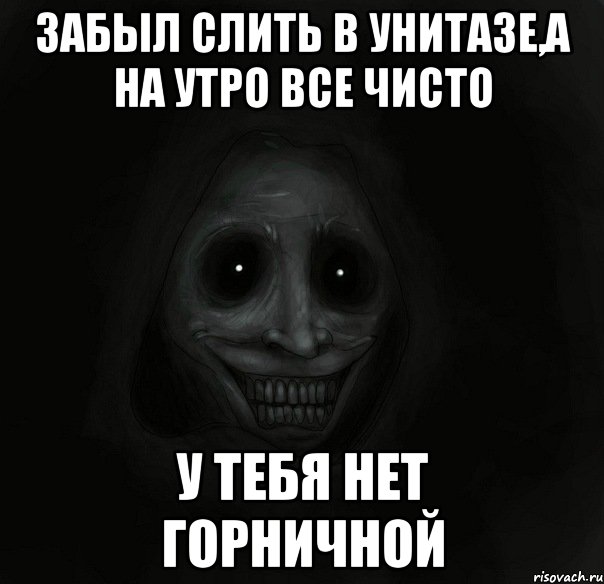 забыл слить в унитазе,а на утро все чисто у тебя нет горничной, Мем Ночной гость