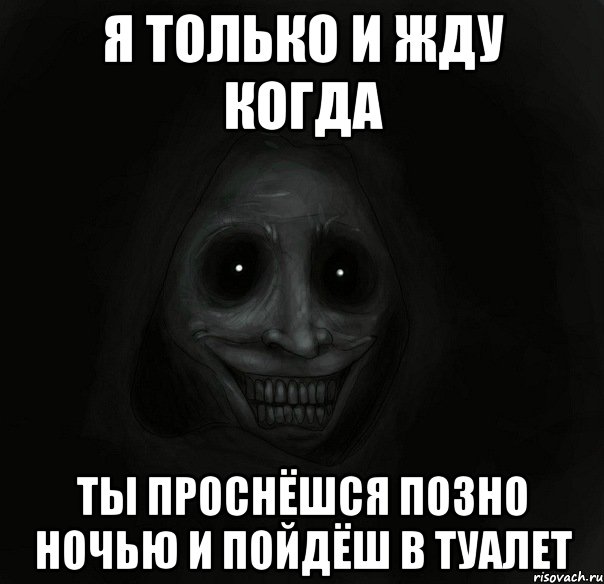 я только и жду когда ты проснёшся позно ночью и пойдёш в туалет, Мем Ночной гость