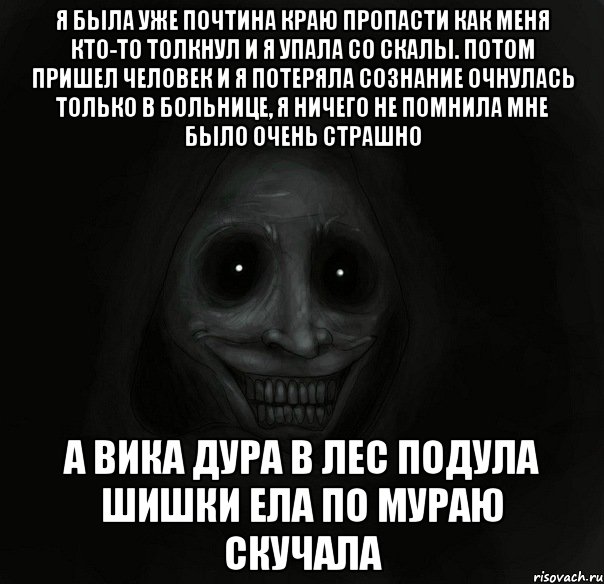 я была уже почтина краю пропасти как меня кто-то толкнул и я упала со скалы. потом пришел человек и я потеряла сознание очнулась только в больнице, я ничего не помнила мне было очень страшно а вика дура в лес подула шишки ела по мураю скучала, Мем Ночной гость