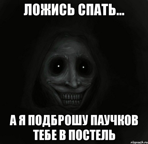 ложись спать... а я подброшу паучков тебе в постель, Мем Ночной гость