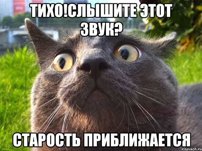 тихо!слышите этот звук? старость приближается