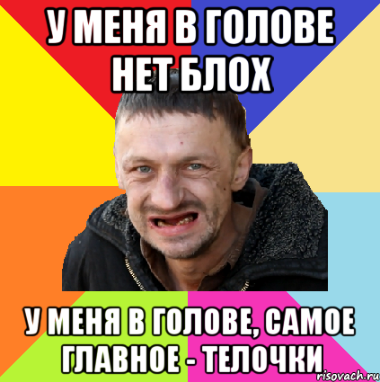 у меня в голове нет блох у меня в голове, самое главное - телочки