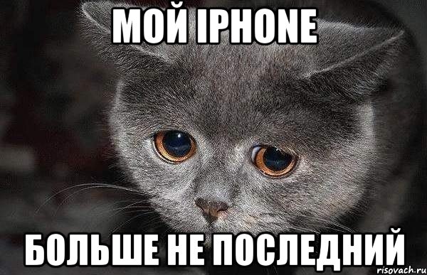 мой iphone больше не последний, Мем  Грустный кот