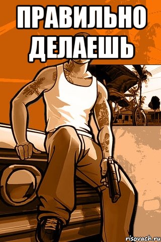 правильно делаешь , Мем GTA