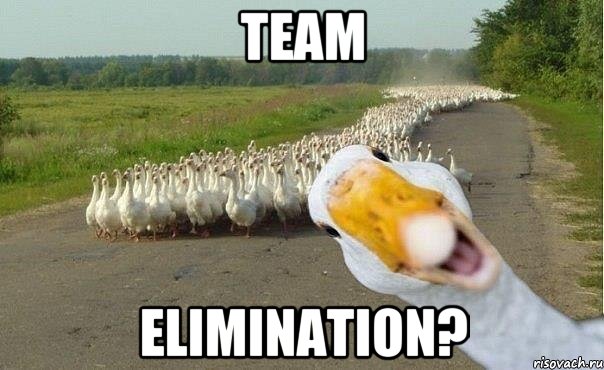 team elimination?, Мем гуси