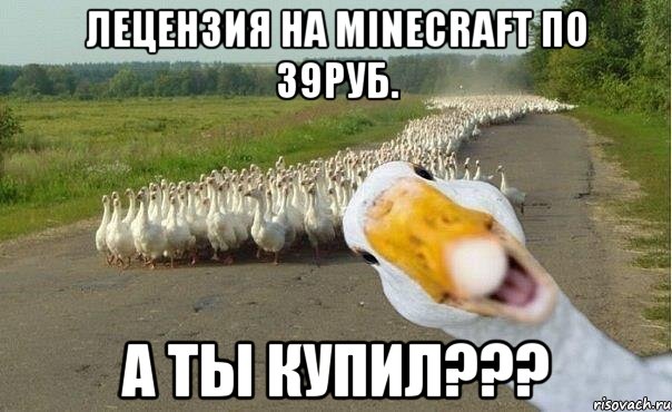 лецензия на minecraft по 39руб. а ты купил???, Мем гуси