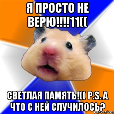 я просто не верю!!!11(( светлая память!(( p.s. а что с ней случилось?, Мем Хомяк