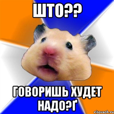 што?? говоришь худет надо?ґ, Мем Хомяк