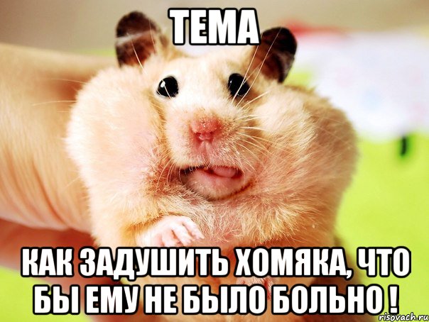 тема как задушить хомяка, что бы ему не было больно !, Мем хомяк