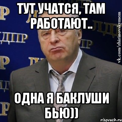 тут учатся, там работают.. одна я баклуши бью)), Мем Хватит это терпеть (Жириновский)