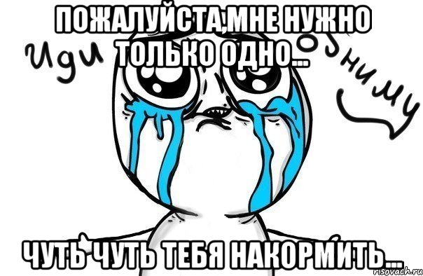 пожалуйста,мне нужно только одно... чуть чуть тебя накормить..., Мем Иди обниму