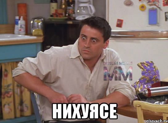  нихуясе, Мем Испуганный Джоуи из Друзей ММ