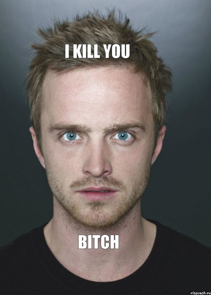 I KILL YOU BITCH, Комикс jesse pinkman