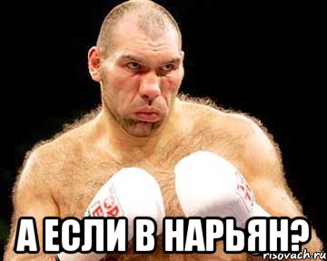  а если в нарьян?, Мем каменная голова