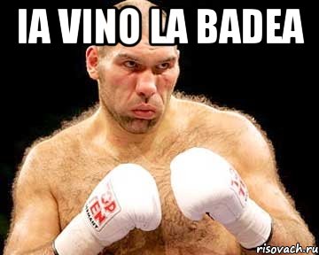 ia vino la badea , Мем каменная голова