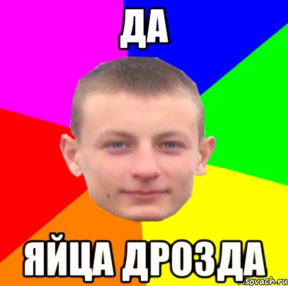 да яйца дрозда