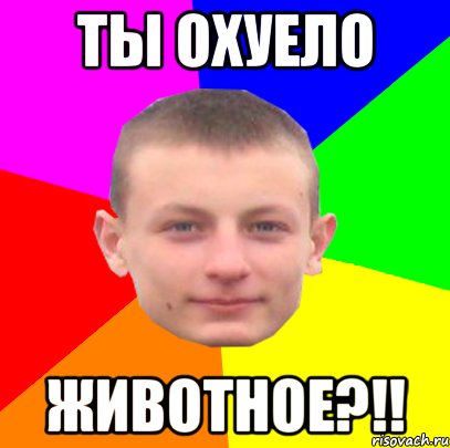 ты охуело животное?!!