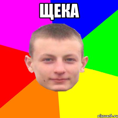 щека 