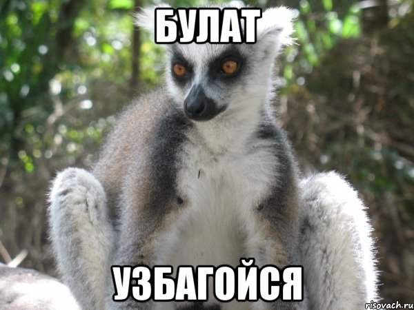 булат узбагойся