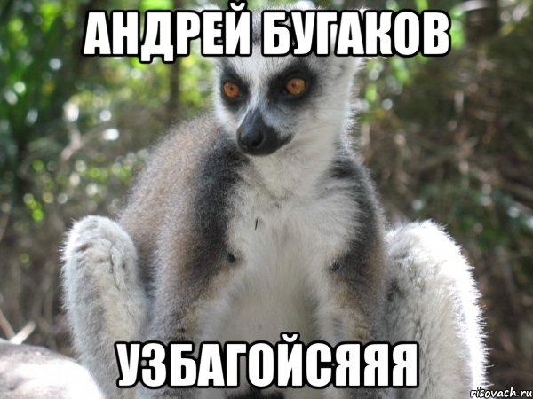 андрей бугаков узбагойсяяя