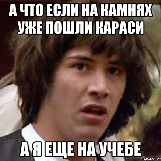 а что если на камнях уже пошли караси а я еще на учебе, Мем А что если (Киану Ривз)