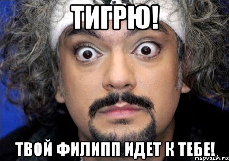 тигрю! твой филипп идет к тебе!, Мем киркоров