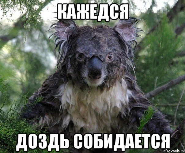 кажедся доздь собидается