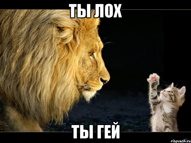 ты лох ты гей