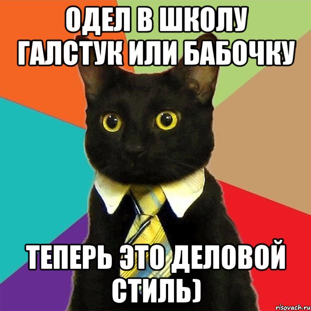 одел в школу галстук или бабочку теперь это деловой стиль), Мем  Кошечка