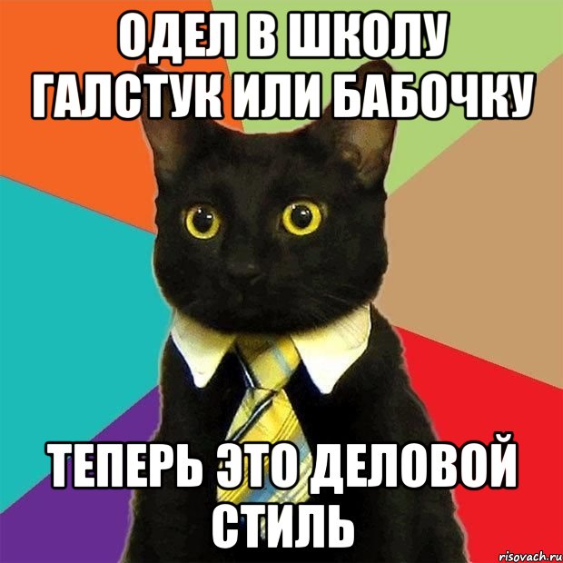 одел в школу галстук или бабочку теперь это деловой стиль, Мем  Кошечка