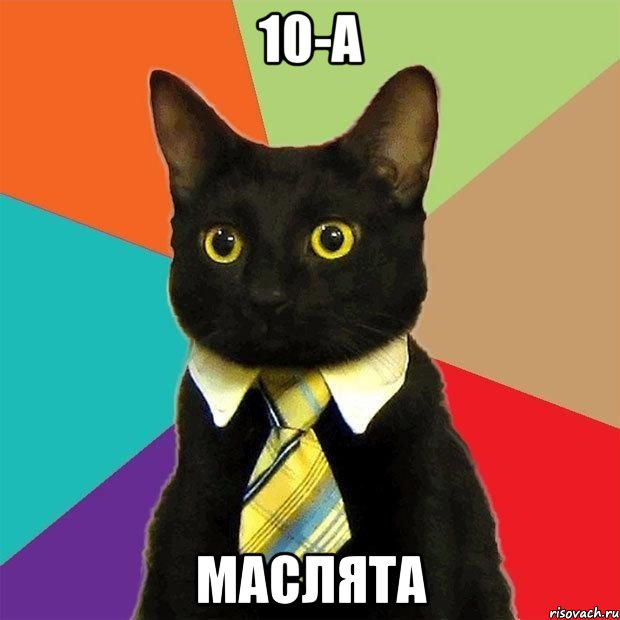 10-а маслята, Мем  Кошечка