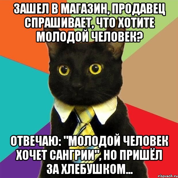 зашел в магазин, продавец спрашивает, что хотите молодой человек? отвечаю: "молодой человек хочет сангрии", но пришёл за хлебушком..., Мем  Кошечка