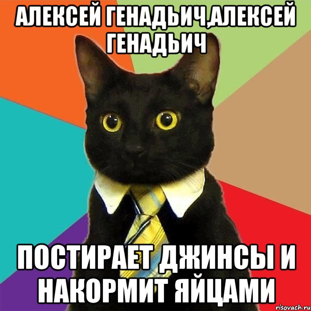 алексей генадьич,алексей генадьич постирает джинсы и накормит яйцами, Мем  Кошечка