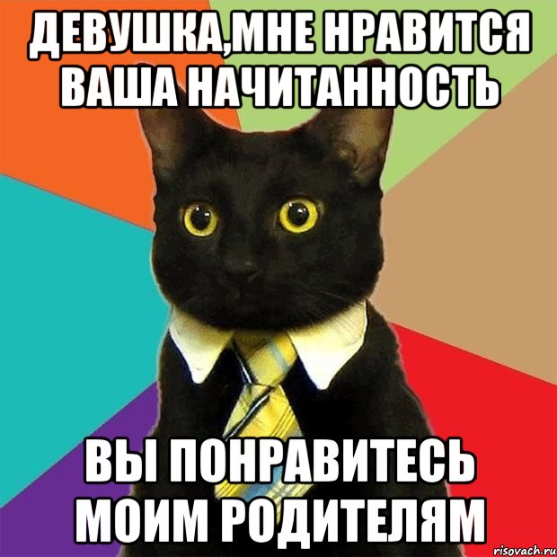 девушка,мне нравится ваша начитанность вы понравитесь моим родителям, Мем  Кошечка