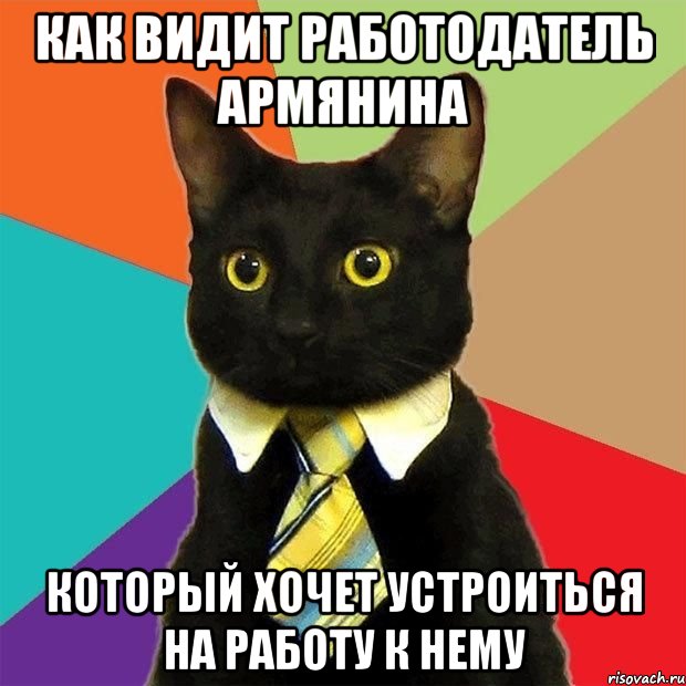 как видит работодатель армянина который хочет устроиться на работу к нему, Мем  Кошечка