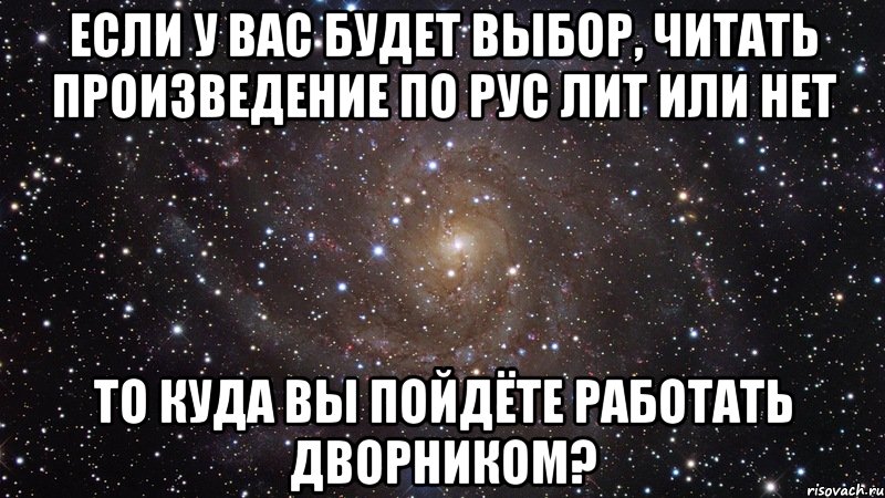 если у вас будет выбор, читать произведение по рус лит или нет то куда вы пойдёте работать дворником?, Мем  Космос (офигенно)