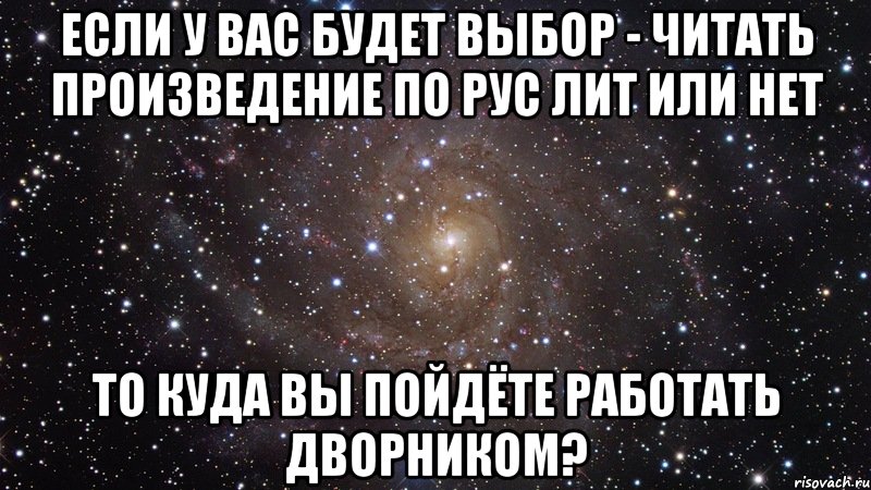 если у вас будет выбор - читать произведение по рус лит или нет то куда вы пойдёте работать дворником?, Мем  Космос (офигенно)