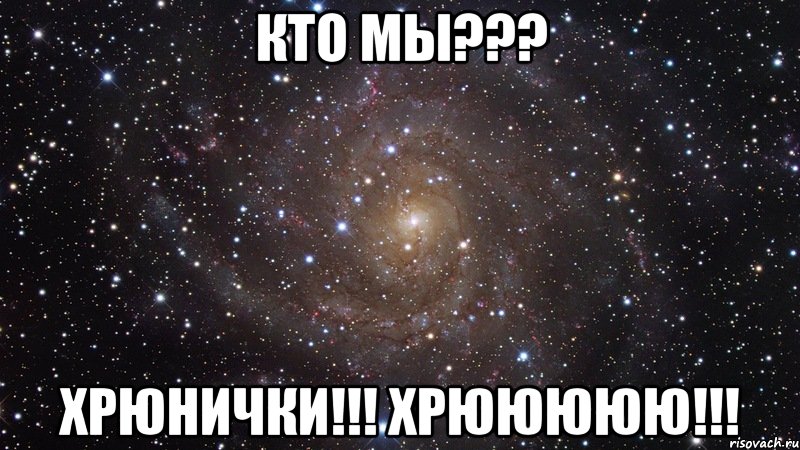 кто мы??? хрюнички!!! хрююююю!!!, Мем  Космос (офигенно)