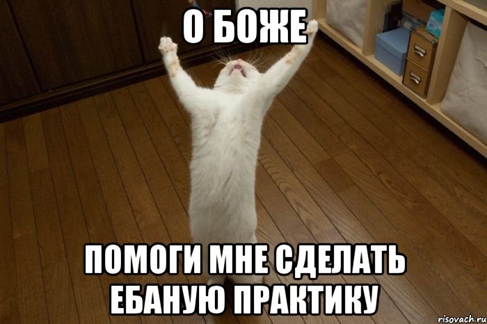 о боже помоги мне сделать ебаную практику